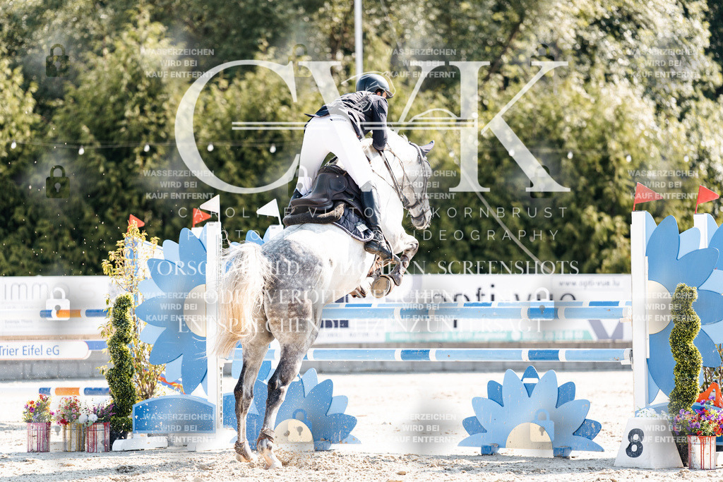 CK902359 | Turnierfotografie Pferdefotografie Trier Rheinland-Pfalz Pferdesport Reitsport Tierfotografie Sportfotografie Pferdevideo Pferdevideografie Equestrianvideography equestrianphotography  - Realisiert mit Pictrs.com