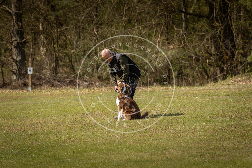 Pfotenfotografie_DV3A1322 | Hundefotografie, Tierfotograf, Pfotenfotografie, Fotoshooting Hund, Hunde Portrait, Hundesport, Hundeportraits, Heideshooting, Hunde, Sportfotograf, Hundefotograf, Turnierhundsport, THS,  - Realisiert mit Pictrs.com