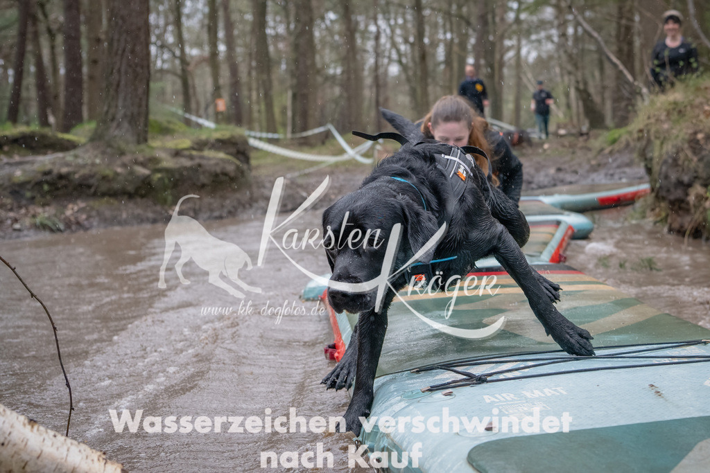 1151_ZZ94899-Bearbeitet | kk-dogfotos