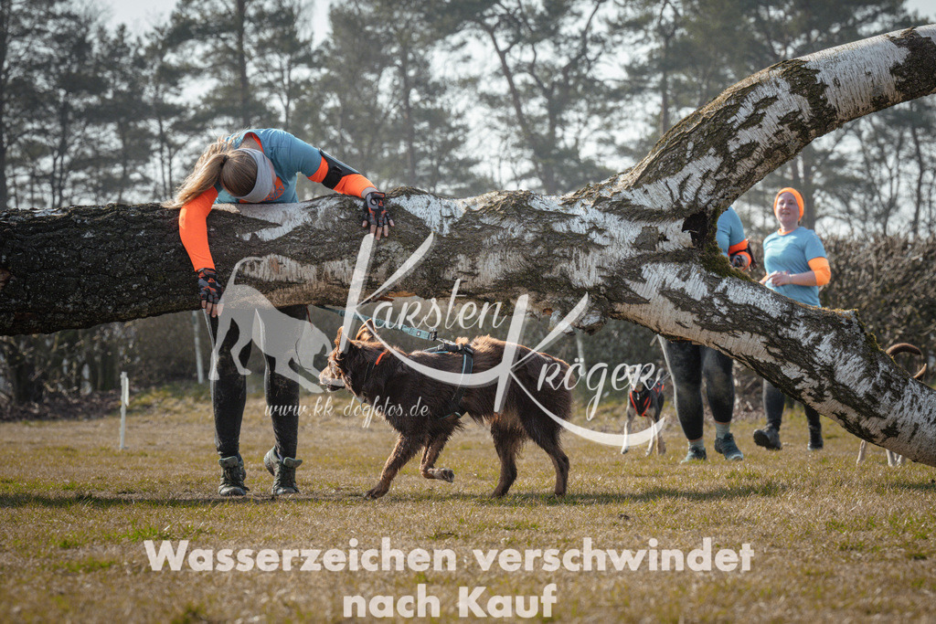 1043_ZZ93558 | kk-dogfotos