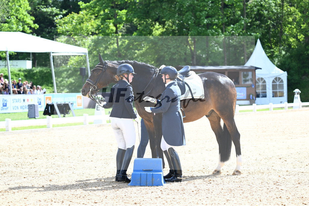 Balkenhol_Statement_12244631 | hf-fotografie - Realisiert mit Pictrs.com