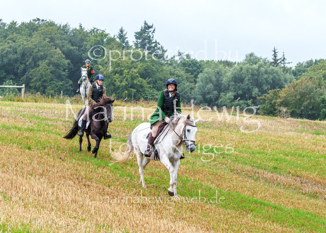 Jagd Kletkamp 26-02908_MarinaHewig | Fotografie, FotoArt, PferdesportArt, Pferdesportfotografie, Landschaftsfotografie, Reisefotografie, Reise, Pferde - Realisiert mit Pictrs.com