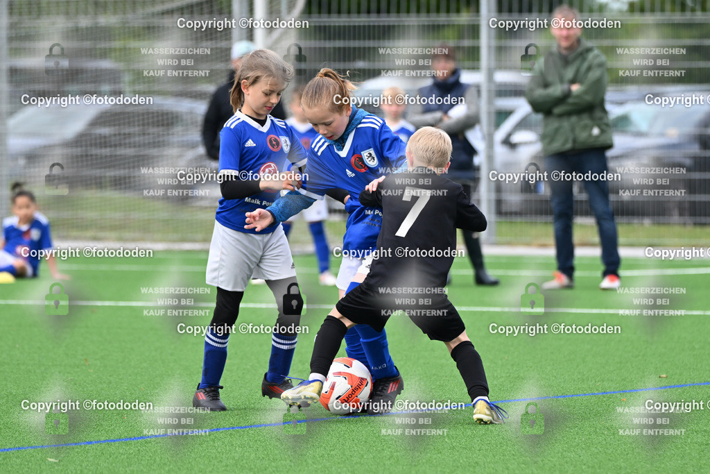 DSC_6831 | SG Sengwarden Fedderwarden (blau) / Eintracht Plaggenburg (schwarz)