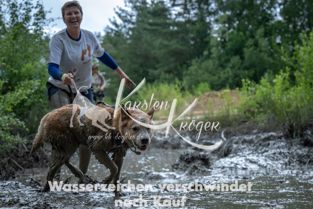 1411_ZZ91555 | kk-dogfotos