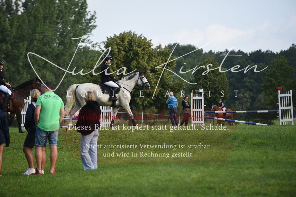 DSC_8564 | Pferde- und Turnierfotografie in Westsachsen. Pferdeportraits, Auftragszeichnungen und intuitive Kunst.