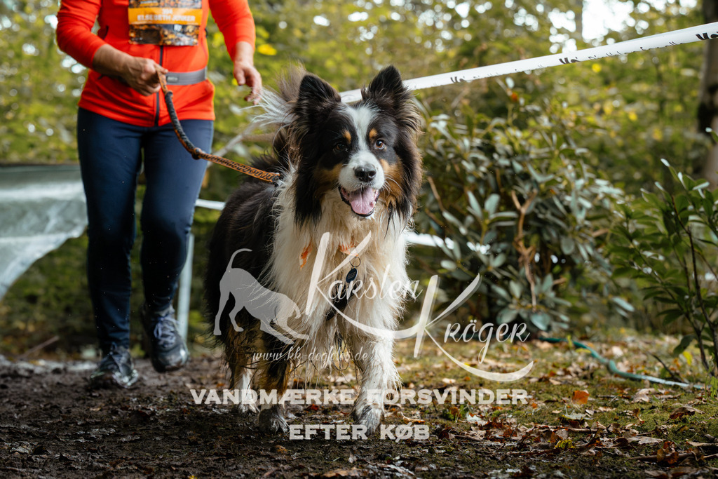 1426DZ6_1935Z6 | kk-dogfotos