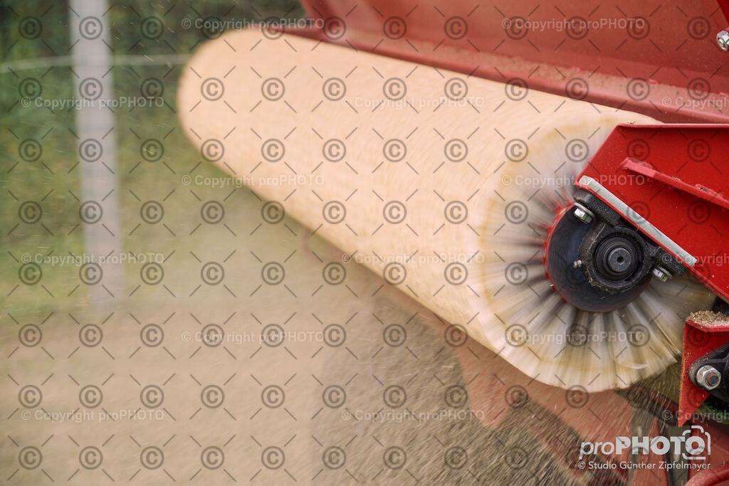 202507_Rernböck-Rasen_NZ9_1236 | proPHOTO - Realisiert mit Pictrs.com