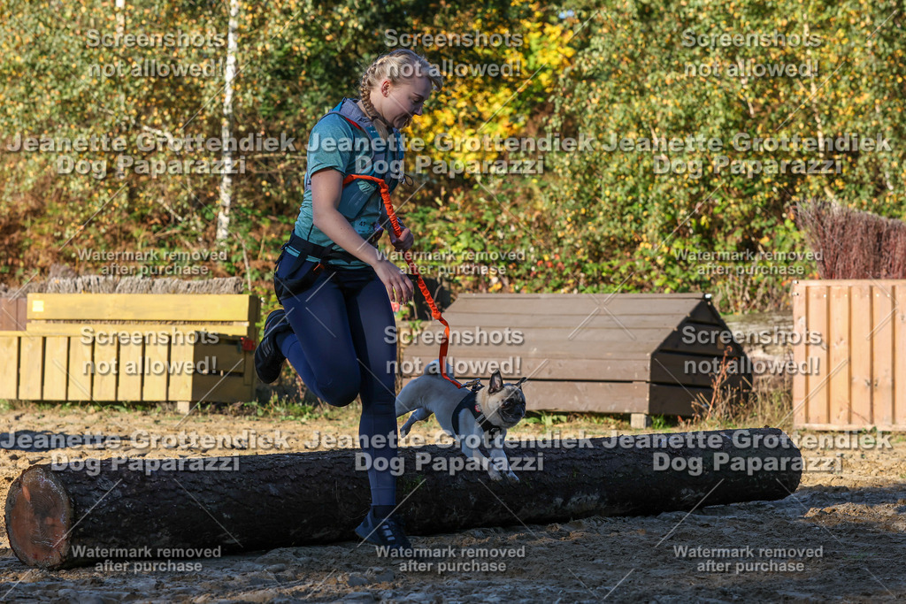 Dog Paparazzi - Strongdog 10-25-1234 | Dog Paparazzi Jeanette Grottendiek Fotografie & Videografie - Realisiert mit Pictrs.com