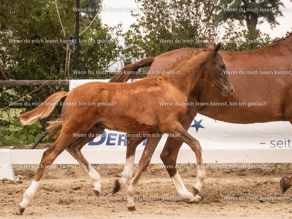 A10I2141 15.54.45 | photographylinaismer - Realisiert mit Pictrs.com