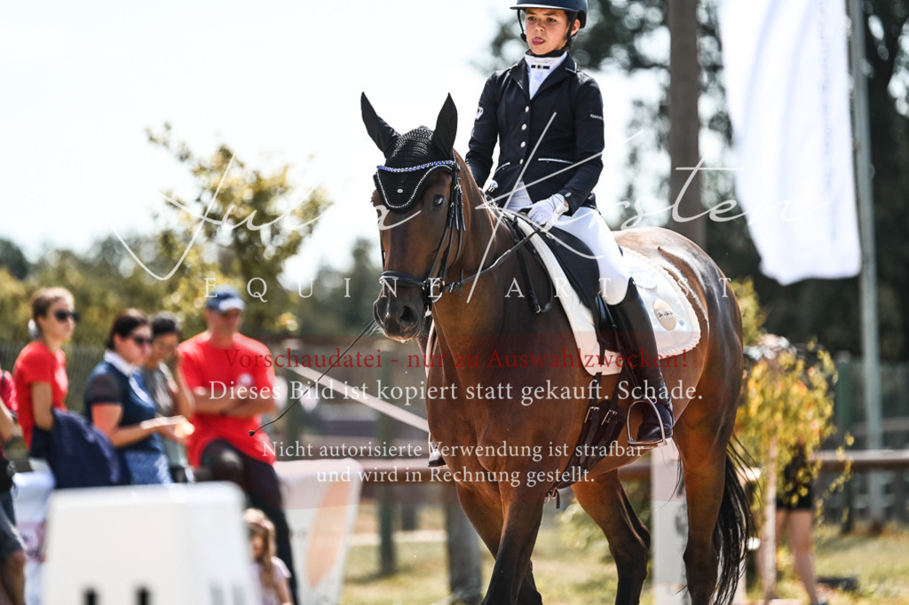 DSC_5758 | Pferde- und Turnierfotografie in Westsachsen. Pferdeportraits, Auftragszeichnungen und intuitive Kunst.