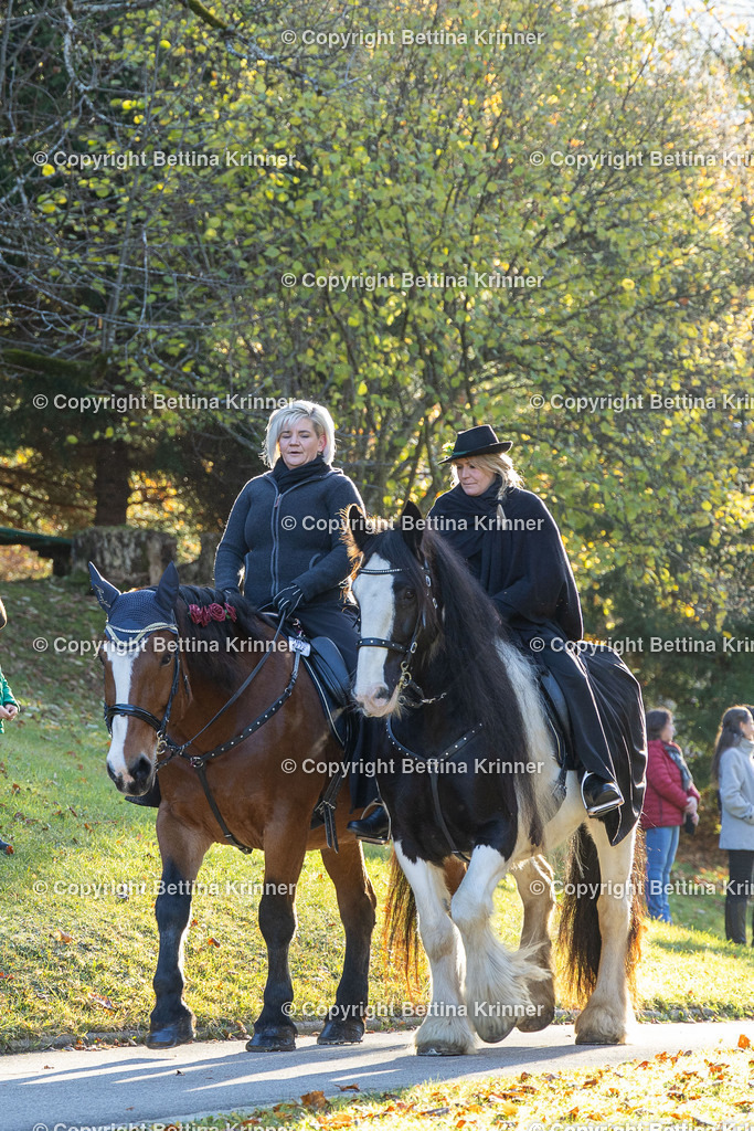 LL24-147 | foto-bettina-krinner - Realisiert mit Pictrs.com