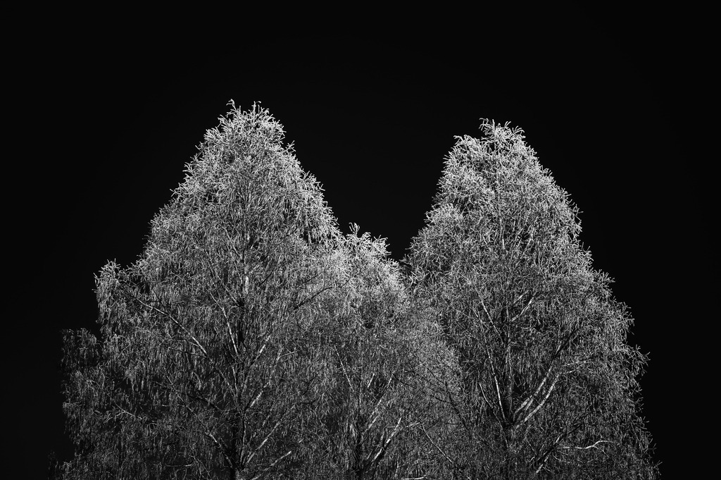 2025_01_19_HH-OEVELGOENNE_MCP4732 sw | Hochwertig gedruckte Fotografien für die Wand, als Kalender und zum Verschenken. Hamburg & Norddeutschland und überall wo ich mit der Kamera unterwegs war.