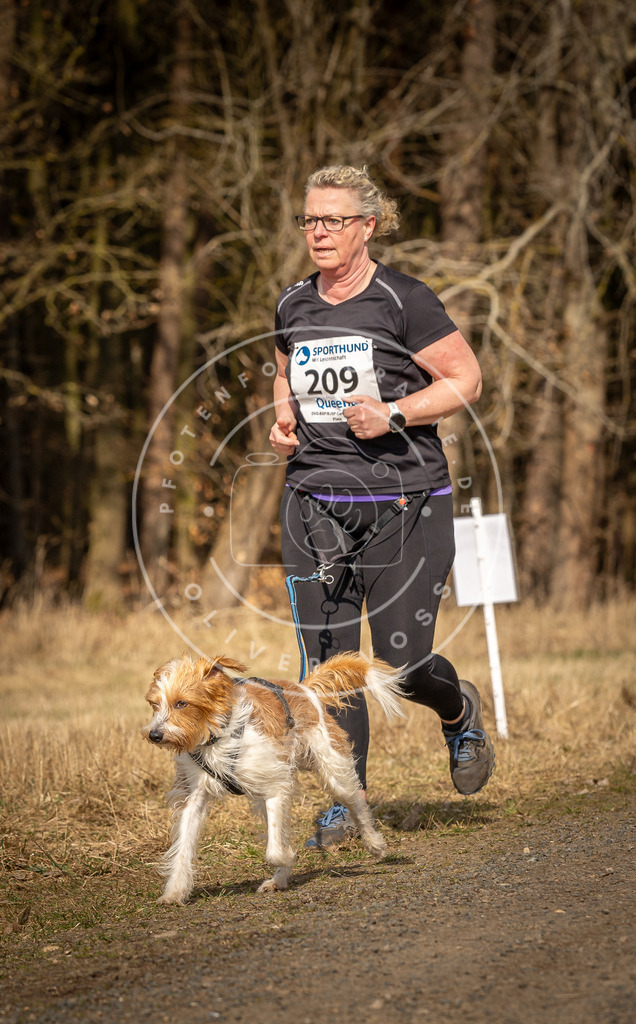 DV3A5549 | Hundefotografie, Tierfotograf, Pfotenfotografie, Fotoshooting Hund, Hunde Portrait, Hundesport, Hundeportraits, Heideshooting, Hunde, Sportfotograf, Hundefotograf, Turnierhundsport, THS,  - Realisiert mit Pictrs.com
