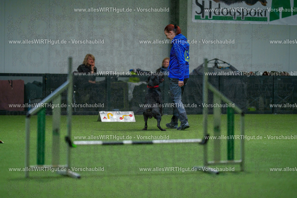 7R504124 | Professionelle Tierfotografie in Mönchengladbach von Daniel Wirth (allesWIRTHgut). Liebevolle & natürliche Bilder von Hunden & Katzen für unvergessliche Erinnerungen.