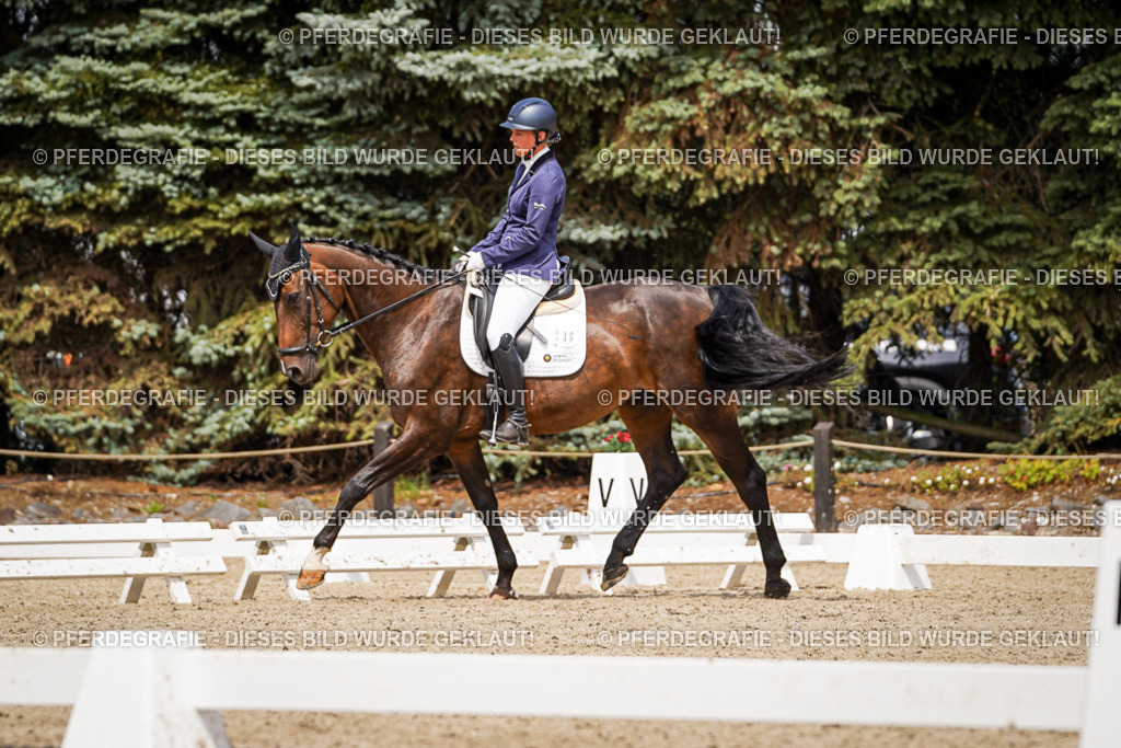 DSC03858 | Pferdegrafie