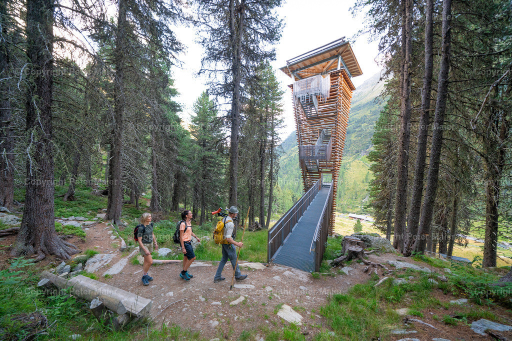 Wildtierbeobachtung_Oberhaus_Erlebnisraum_Wald_23_Peter_Maier-412 | piet_flosse