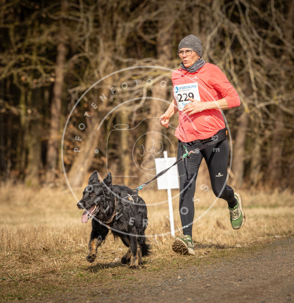 DV3A5479 | Hundefotografie, Tierfotograf, Pfotenfotografie, Fotoshooting Hund, Hunde Portrait, Hundesport, Hundeportraits, Heideshooting, Hunde, Sportfotograf, Hundefotograf, Turnierhundsport, THS,  - Realisiert mit Pictrs.com