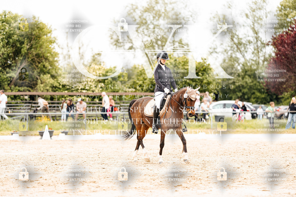 CK903528 | Turnierfotografie Pferdefotografie Trier Rheinland-Pfalz Pferdesport Reitsport Tierfotografie Sportfotografie Pferdevideo Pferdevideografie Equestrianvideography equestrianphotography  - Realisiert mit Pictrs.com