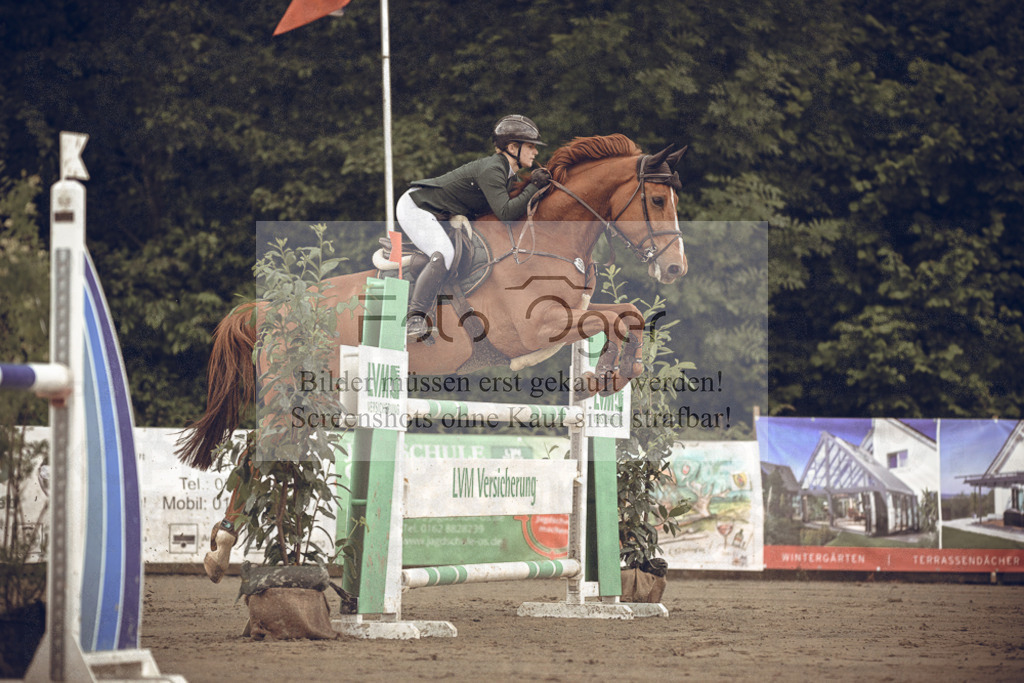 20240530-DOS_1913 | Entdecke hochwertige Reitturnierfotos von Foto Oger. Professionell, emotional und authentisch – jetzt Lieblingsmomente im Shop bestellen.Deutschlandweite Turnierfotografie. - Realisiert mit Pictrs.com