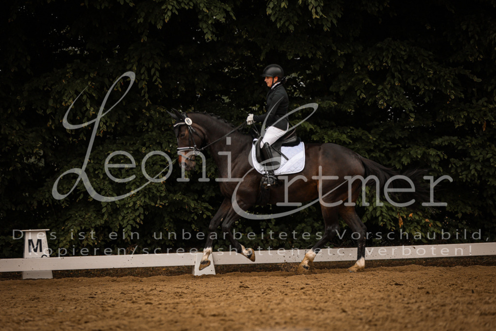 DoDrA200203 | Leoni Ertmer Photography - Realisiert mit Pictrs.com