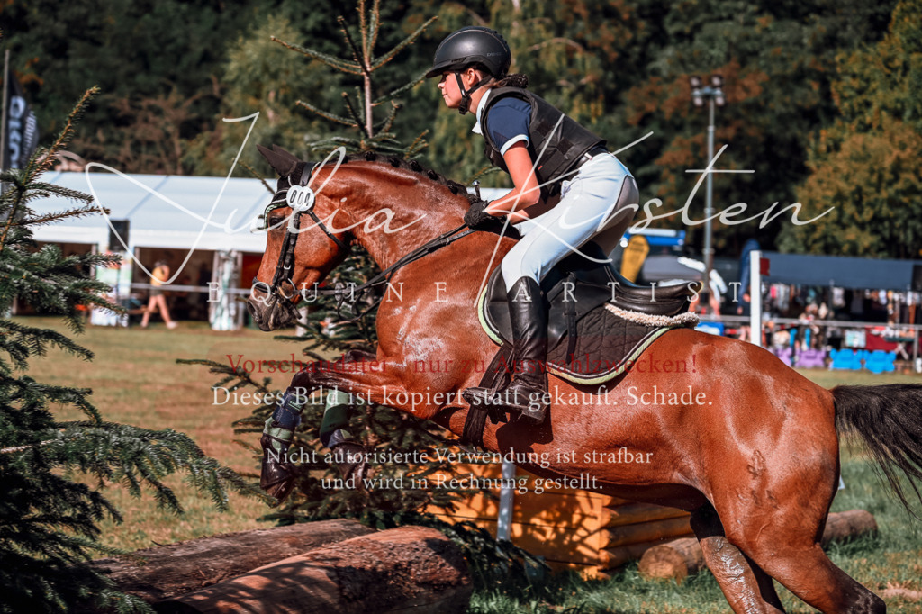 DSC_0981 | Pferde- und Turnierfotografie in Westsachsen. Pferdeportraits, Auftragszeichnungen und intuitive Kunst.
