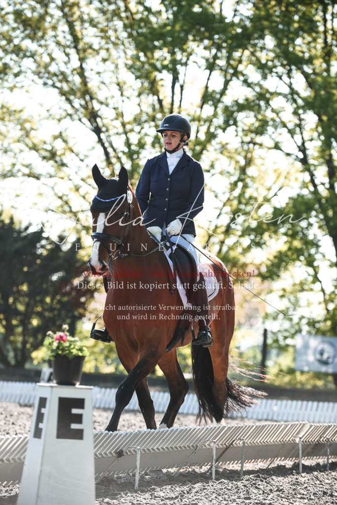 DSC_8514 | Pferde- und Turnierfotografie in Westsachsen. Pferdeportraits, Auftragszeichnungen und intuitive Kunst.