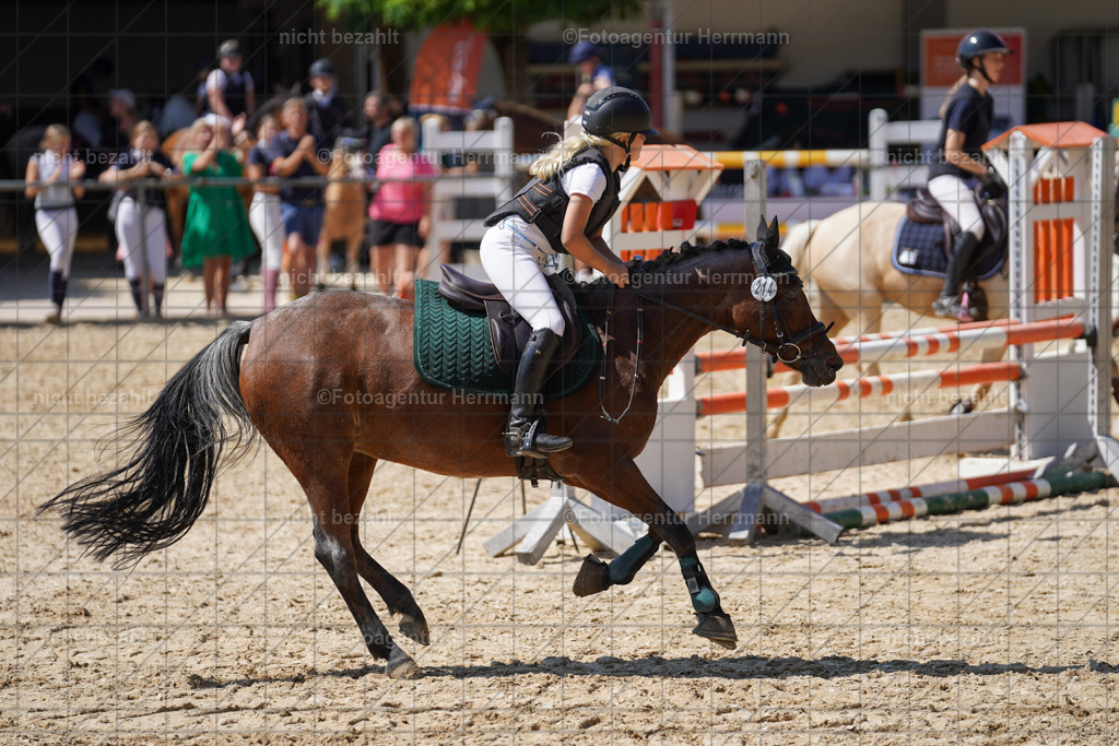20240824-FAH08042 | Thierhaupten 2024, Bayerisches Landesponyturnier, Turnierbilder, Ponybilder, Turnierfotografen Bayern, Fotoagentur Herrmann