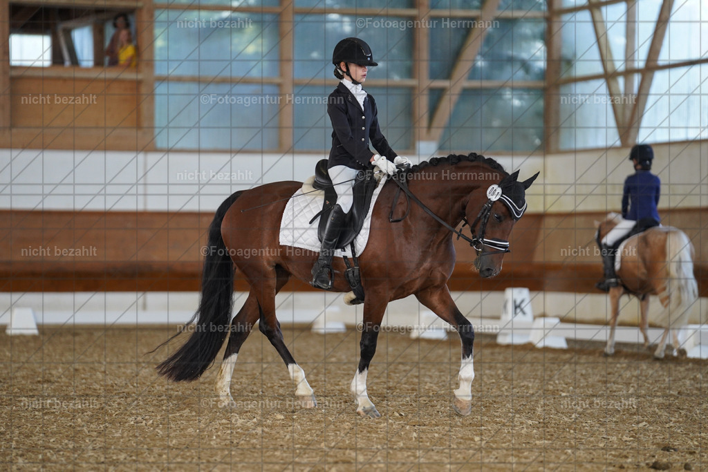 20240824-FAH07150 | Thierhaupten 2024, Bayerisches Landesponyturnier, Turnierbilder, Ponybilder, Turnierfotografen Bayern, Fotoagentur Herrmann