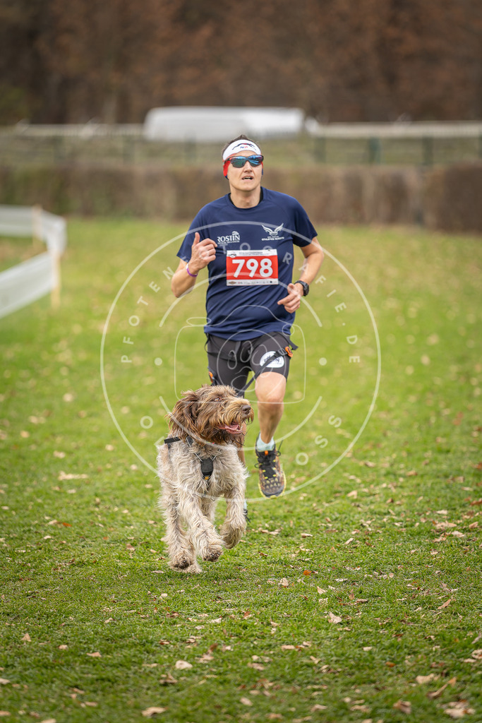 CaniXpix_DV3A6147 | Hundefotografie, Tierfotograf, Pfotenfotografie, Fotoshooting Hund, Hunde Portrait, Hundesport, Hundeportraits, Heideshooting, Hunde, Sportfotograf, Hundefotograf, Turnierhundsport, THS,  - Realisiert mit Pictrs.com
