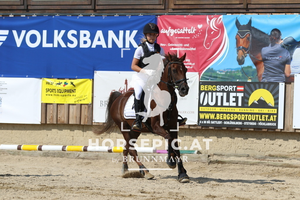 7V2A4269 | Willkommen bei Brunnmayr - Design & Fotografie – Ihrem Spezialisten für Reitturniere und Pferdeveranstaltungen in Oberösterreich, Salzburg und Bayern! Seit über 17 Jahren sind wir leidenschaftlich dabei.