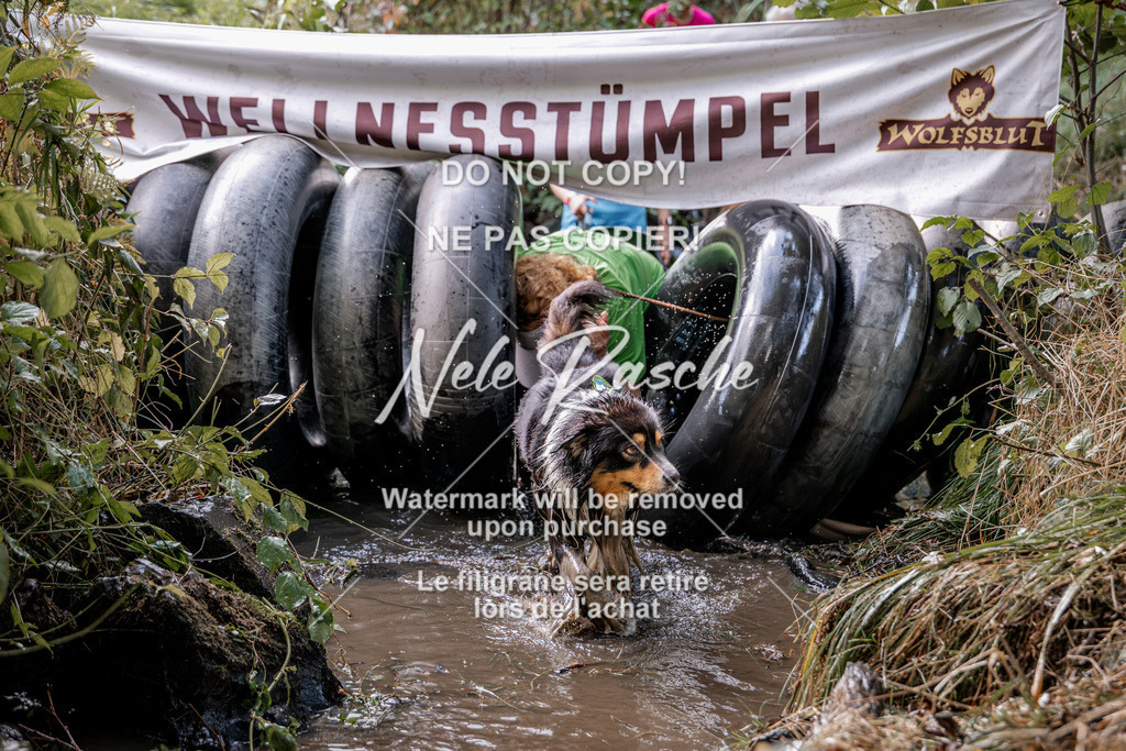 nelerasche_Hunsrück2026_Sa1400-1500_91 | nelerasche