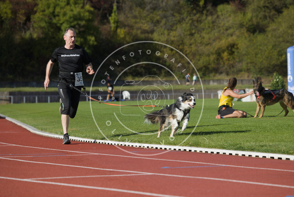 0L8A0022 | Hundefotografie, Tierfotograf, Pfotenfotografie, Fotoshooting Hund, Hunde Portrait, Hundesport, Hundeportraits, Heideshooting, Hunde, Sportfotograf, Hundefotograf, Turnierhundsport, THS,  - Realisiert mit Pictrs.com