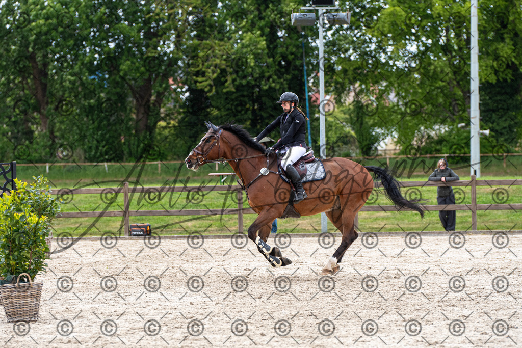 KPT_0147 | andre_photographic