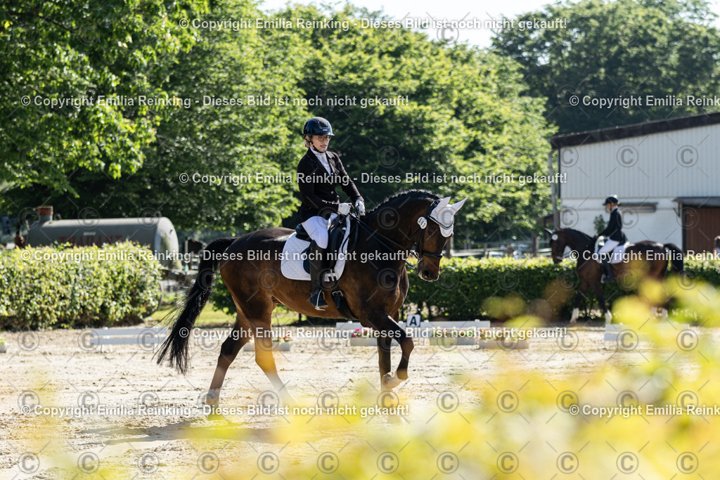 CL5A7030 | Emilia Reinking Fotografie - Realisiert mit Pictrs.com