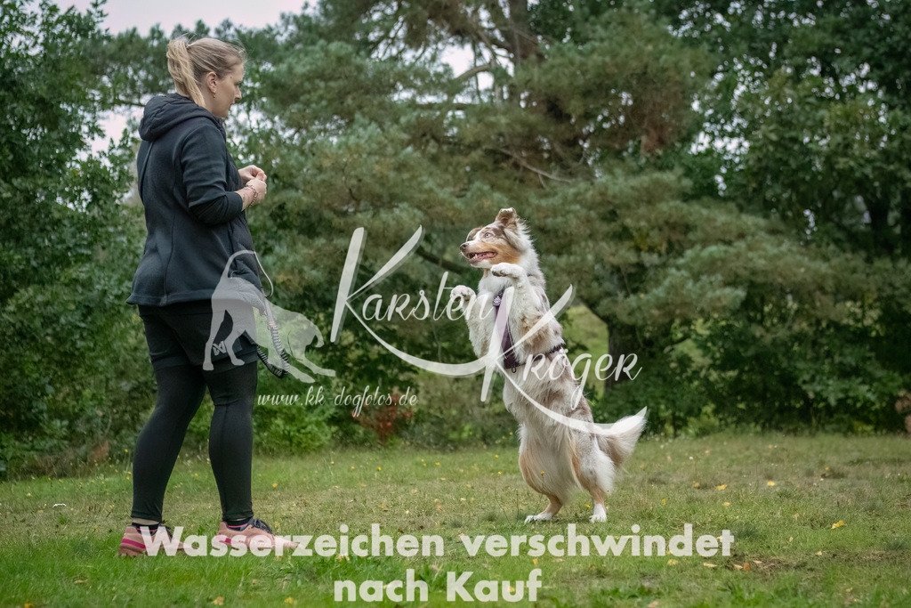 0925_ZZ90340-Bearbeitet-2 | kk-dogfotos