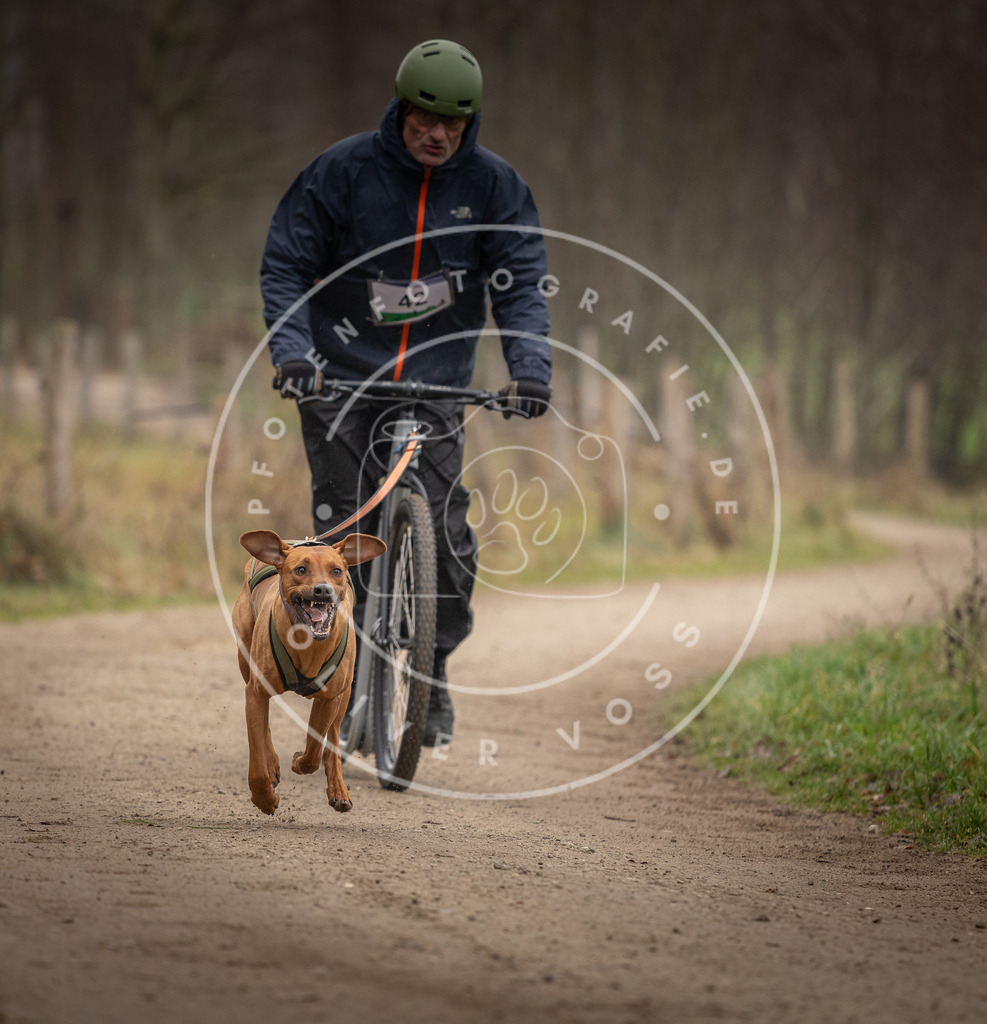 Pfotenfotografie_DV3A2607 | Hundefotografie, Tierfotograf, Pfotenfotografie, Fotoshooting Hund, Hunde Portrait, Hundesport, Hundeportraits, Heideshooting, Hunde, Sportfotograf, Hundefotograf, Turnierhundsport, THS,  - Realisiert mit Pictrs.com
