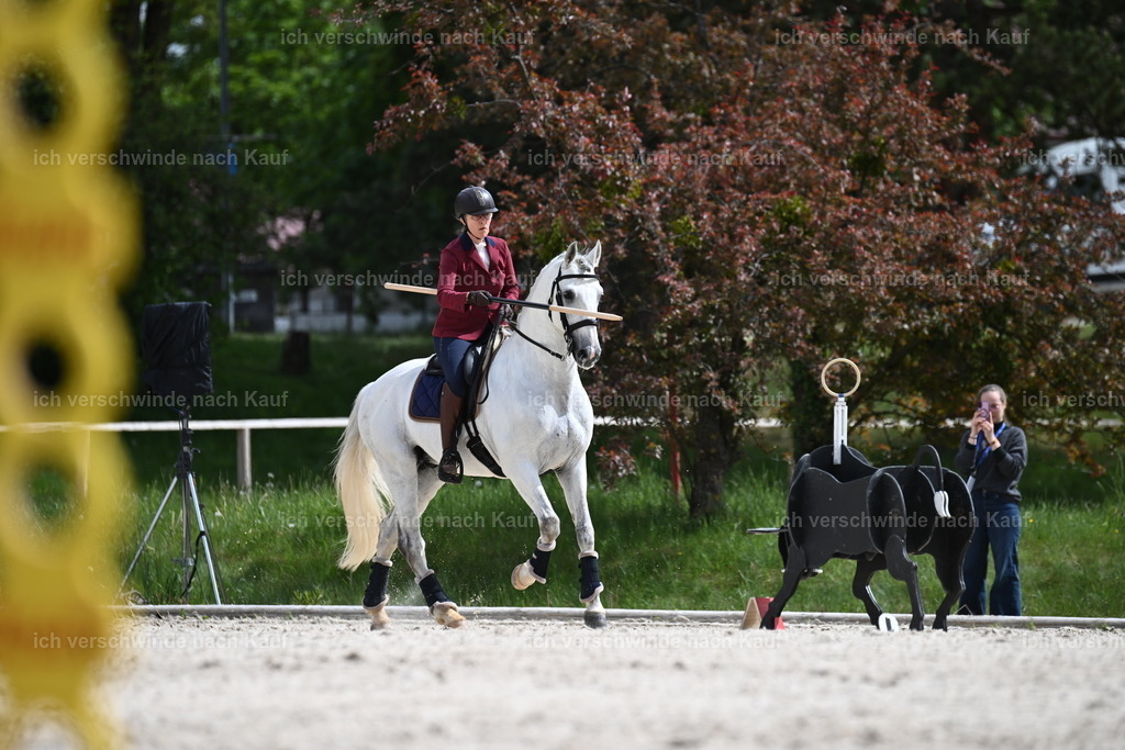 PI26_ST_Sara_Landvogt226_3753.JPG | working equitationturnier fotograf videograf stoibphotography marixx film working equitation deutschland reitsport turnierfotografie eventfotografie equestrian events