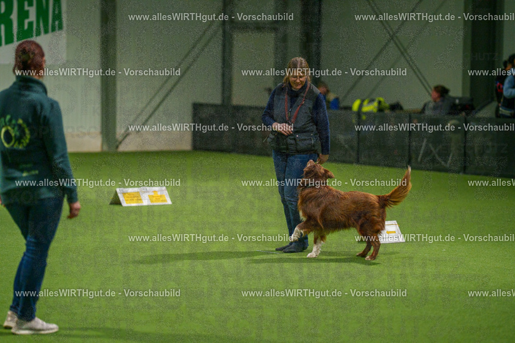 7R508906 | Professionelle Tierfotografie in Mönchengladbach von Daniel Wirth (allesWIRTHgut). Liebevolle & natürliche Bilder von Hunden & Katzen für unvergessliche Erinnerungen.