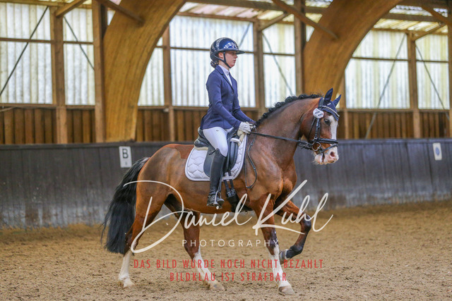 IMG_0696 | Turniersportfotografie; Pferdefotografie; Dressurfotografie