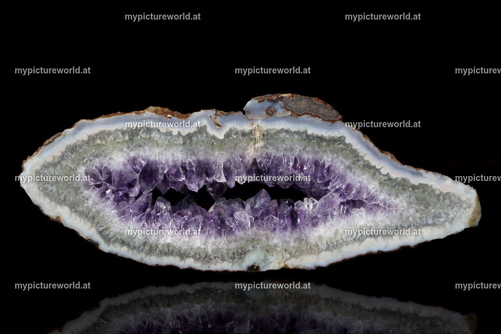 Achat-010 | Das Bilderarchiv über Tiere, Planzen und Landschaften. In der Bilddatenbank finden Sie ein große Auswahl an hochwertigen Bilder für Ihre Werbung - Realized with Pictrs.com