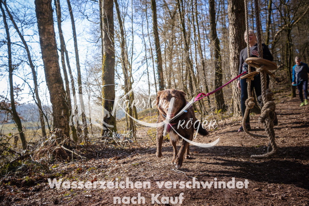 0924_ZZ97692 | kk-dogfotos