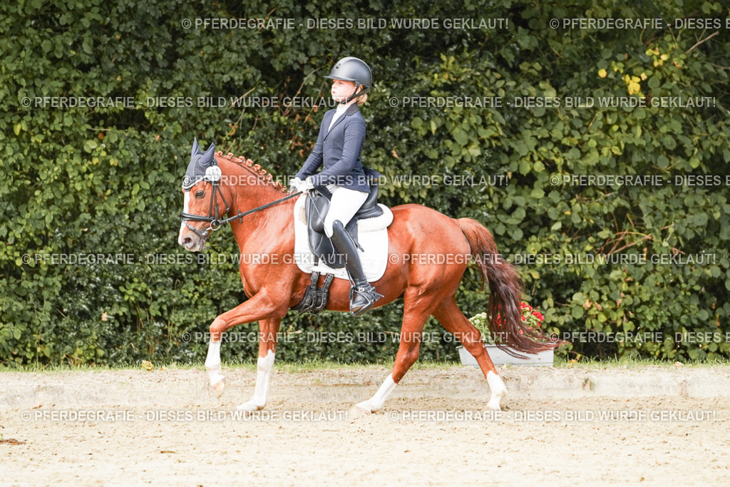 DSC03835 | Pferdegrafie