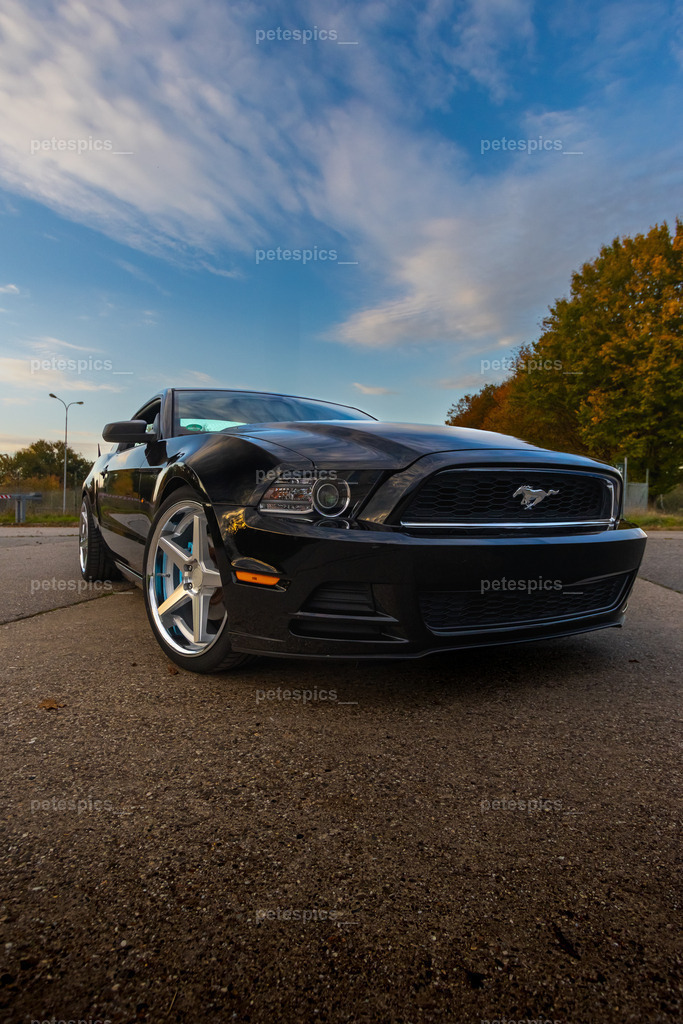 _76A5434-1 | petespics