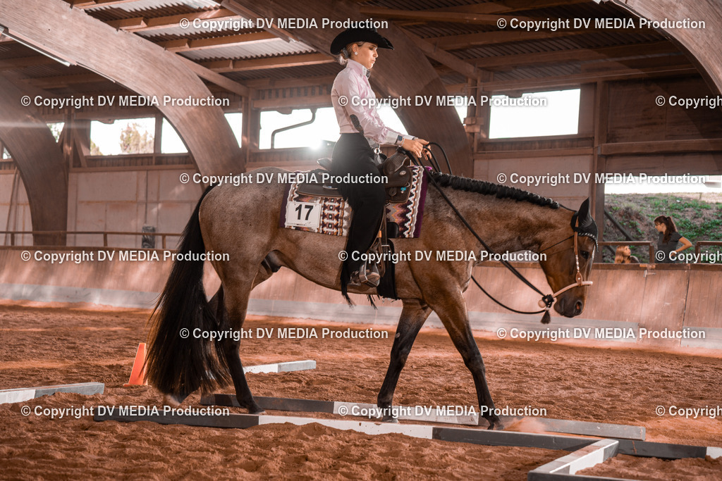 NE200132 | dv-media-shop - Realisiert mit Pictrs.com