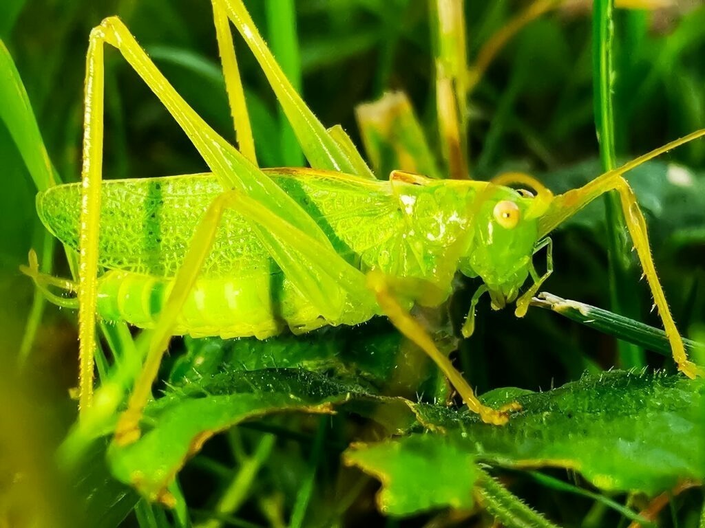 PSX_20220801_002011 | mtkfoto_ - Realisiert mit Pictrs.com