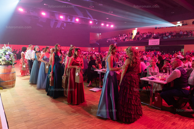 76.Gr_iwemaacher Wäinfest 2026. (202 von 243) | www.fotoromain.lu