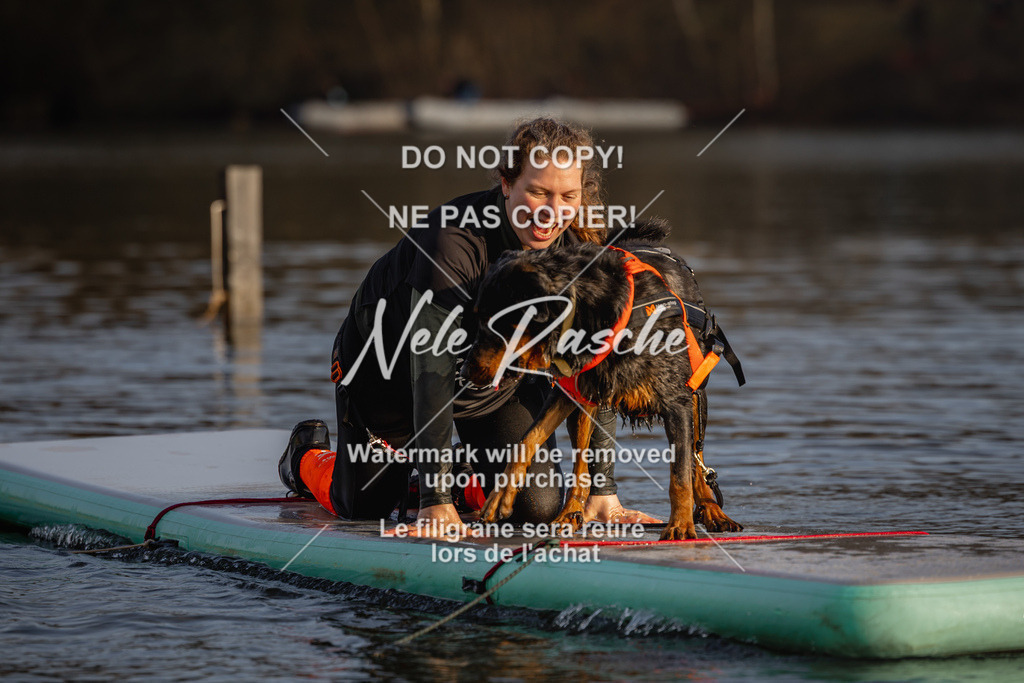 nelerasche_Hulsbeek_Sa1700-1730_273 | nelerasche