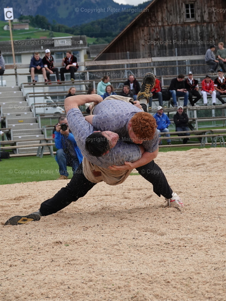 DSC05495 | Schwingen - Realisiert mit Pictrs.com
