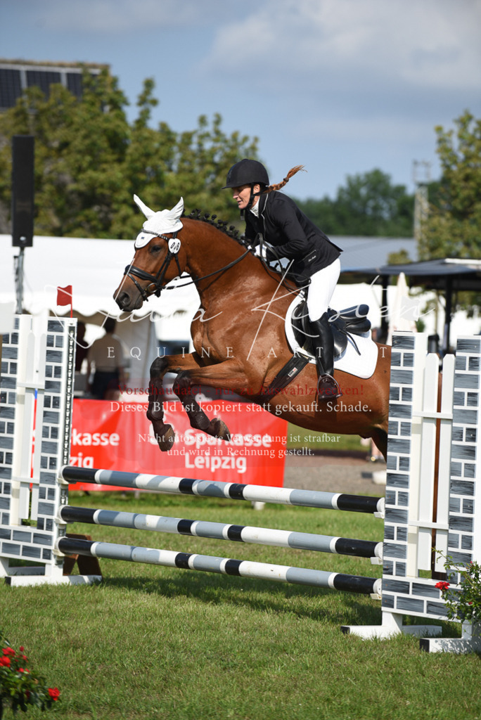 DSC_8884 | Pferde- und Turnierfotografie in Westsachsen. Pferdeportraits, Auftragszeichnungen und intuitive Kunst.