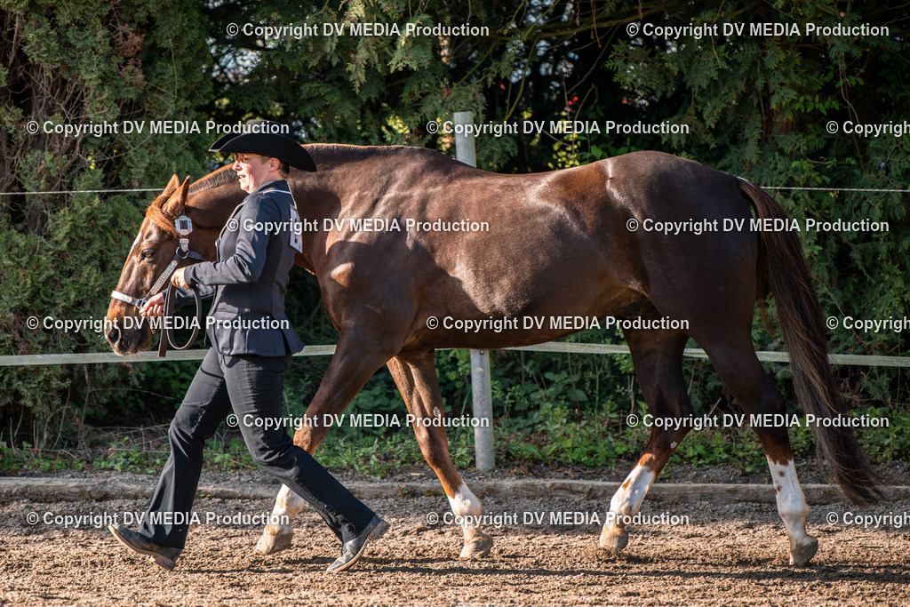 Balingen Tag 4-105 | dv-media-shop - Realisiert mit Pictrs.com